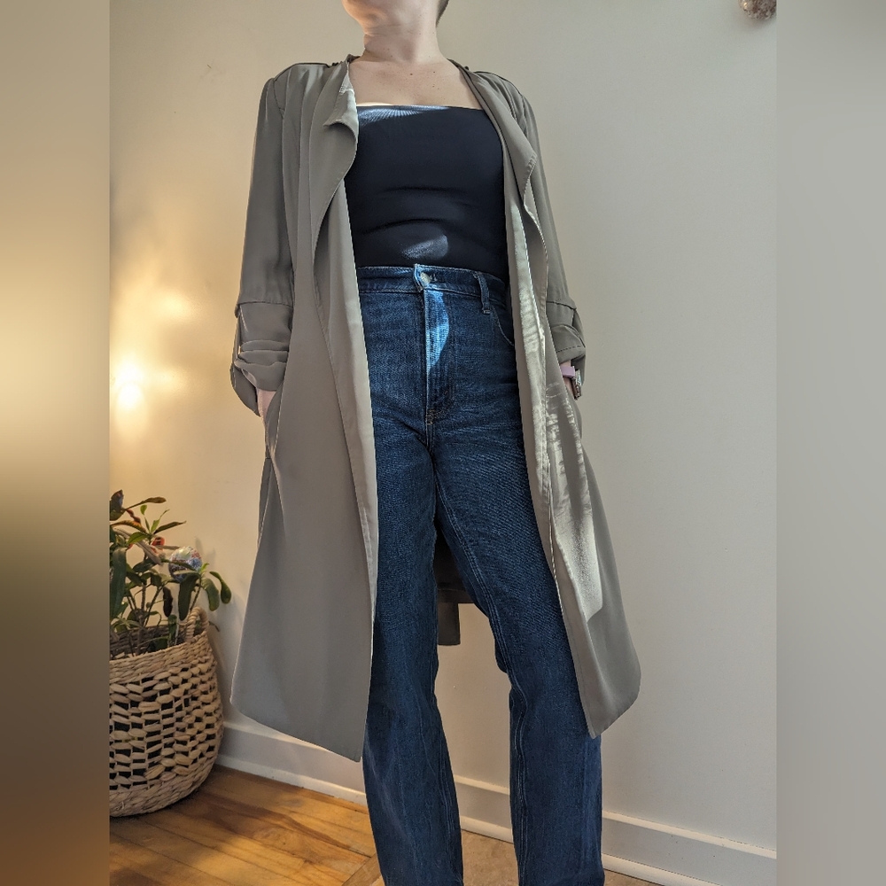 Aritzia Babaton Trench